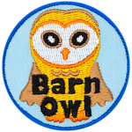 A cream-coloured owl with a round, white face and the words Barn Owl at the bottom.