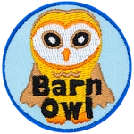 A cream-coloured owl with a round, white face and the words Barn Owl at the bottom.