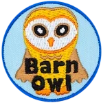 A cream-coloured owl with a round, white face and the words Barn Owl at the bottom.