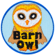 Barn Owl (Iron-On)