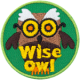 A brown owl with round yellow glasses and bushy white eyebrows has the words Wise Owl across the bottom.