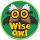 Wise Owl (Iron-On)