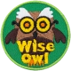 Wise Owl (Iron-On)