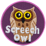 A yellow-eyed owl with cream feathers and the words Screech Owl at the bottom.