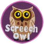 A yellow-eyed owl with cream feathers and the words Screech Owl at the bottom.