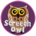 A yellow-eyed owl with cream feathers and the words Screech Owl at the bottom.