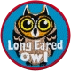 Long Eared Owl (Iron-On)