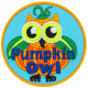 Pumpkin Owl (Iron-On)