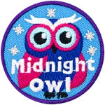 This dark purple and pink owl stands against a background of the blue night sky with golden metallic stars.