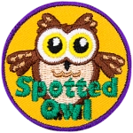 A fluffy brown owl with yellow eyes and the words Spotted Owl at the bottom.