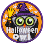 A grey owl is wearing a witch's costume. The words Halloween Owl are across the bottom.