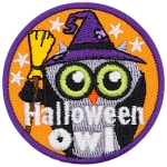 A grey owl is wearing a witch's costume. The words Halloween Owl are across the bottom.