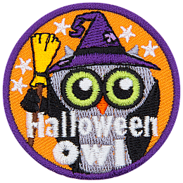 A grey owl is wearing a witch's costume. The words Halloween Owl are across the bottom.