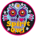 A decorated blue owl stares at the viewer. The words Spirit Owl are across the bottom.