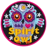 A decorated blue owl stares at the viewer. The words Spirit Owl are across the bottom.