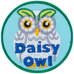 A white owl with two leaves as eyebrows. The words Daisy Owl are at the bottom.