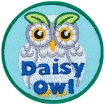 A white owl with two leaves as eyebrows. The words Daisy Owl are at the bottom.
