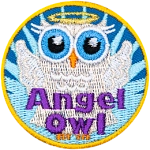 A grey owl has its wings back like an angel. A halo is over its head. The words Angel Owl are across its torso.