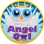 A grey owl has its wings back like an angel. A halo is over its head. The words Angel Owl are across its torso.