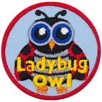 This owl is disguised as a ladybug. It has big blue eyes, antennae, and black-spotted red wings. The words Ladybug Owl are across the bottom.