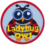 This owl is disguised as a ladybug. It has big blue eyes, antennae, and black-spotted red wings. The words Ladybug Owl are across the bottom.