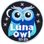 A blue owl stares at the viewer. The words across the bottom read Luna Owl.