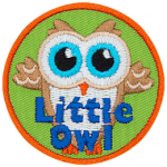 A light brown owl with a white stomach and face. The words Little Owl are at the bottom.