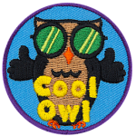 An owl wearing sunglasses has two thumbs up. The words Cool Owl are at the bottom.