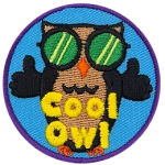An owl wearing sunglasses has two thumbs up. The words Cool Owl are at the bottom.