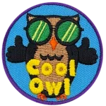 An owl wearing sunglasses has two thumbs up. The words Cool Owl are at the bottom.