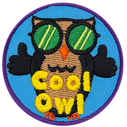 An owl wearing sunglasses has two thumbs up. The words Cool Owl are at the bottom.