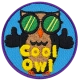 Cool Owl (Iron-On)