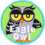 A grey owl with black wings and half-lidded eyes. The words Eagle Owl are at the bottom.