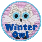 A fluffy white owl with the words Winter Owl at the bottom.