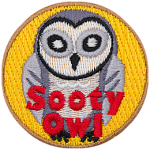 A grey owl on a yellow background. The words Sooty Owl are at the bottom.