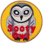 A grey owl on a yellow background. The words Sooty Owl are at the bottom.
