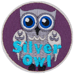 A silver-coloured owl with blue eyes. The words Silver Owl are stitched in blue on the bottom.