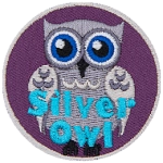 A silver-coloured owl with blue eyes. The words Silver Owl are stitched in blue on the bottom.