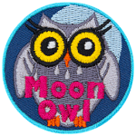 A silver owl with eyelashes and round yellow eyes. The words Moon Owl are across the bottom.