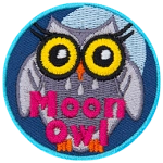 A silver owl with eyelashes and round yellow eyes. The words Moon Owl are across the bottom.