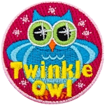 A chubby blue owl with sparkling eyes surrounded by sparkles. The words Twinkle Owl are across the bottom.