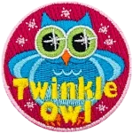A chubby blue owl with sparkling eyes surrounded by sparkles. The words Twinkle Owl are across the bottom.