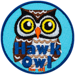 A white and brown owl with round yellow eyes. The words Hawk Owl are at the bottom.