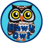 A white and brown owl with round yellow eyes. The words Hawk Owl are at the bottom.
