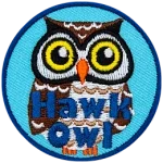 A white and brown owl with round yellow eyes. The words Hawk Owl are at the bottom.
