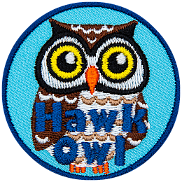 A white and brown owl with round yellow eyes. The words Hawk Owl are at the bottom.