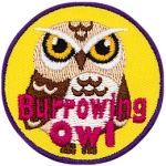 A burrowing owl with a disapproving look.