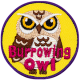 Burrowing Owl (Iron-On)