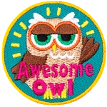 A brown owl with half-lidded eyes and a raised wing. The words Awesome Owl are at the bottom.