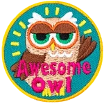 A brown owl with half-lidded eyes and a raised wing. The words Awesome Owl are at the bottom.